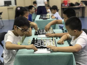 2019年泰達文化藝術(shù)中心秋季班報名開始拉